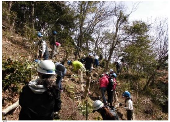 [SDGs #62]Tree Planting Activity (OZO Satoyama Conservation)